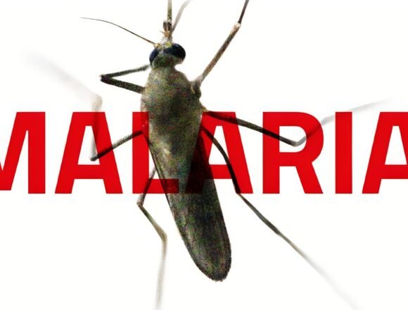 Kemenkes Sebut Ada 5 Provinsi Telah Bebas Malaria, Banten?