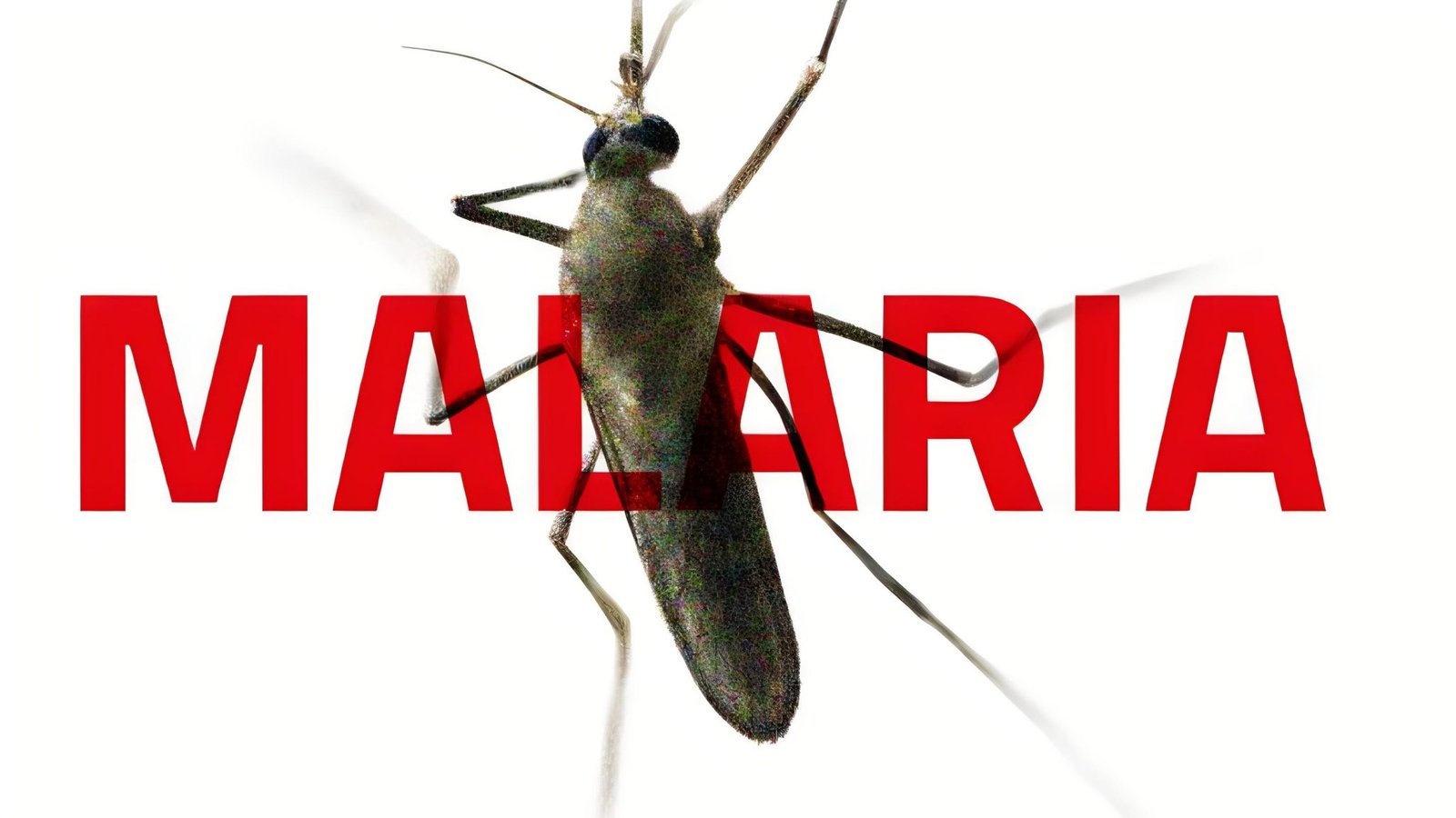 Kemenkes Sebut Ada 5 Provinsi Telah Bebas Malaria, Banten?