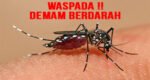 Dampak El Nino, Masyarakat Diimbau Waspada DBD