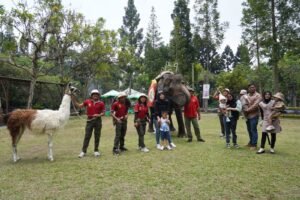 Cara Royal Safari Garden Peringati Hari Satwa Sedunia