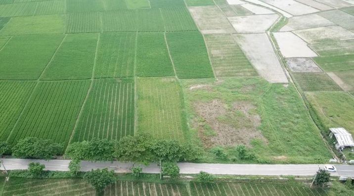 Sulit Air, 80 Hektare Lahan Pertanian di Kabupaten Serang Bakal Jadi Kawasan Industri