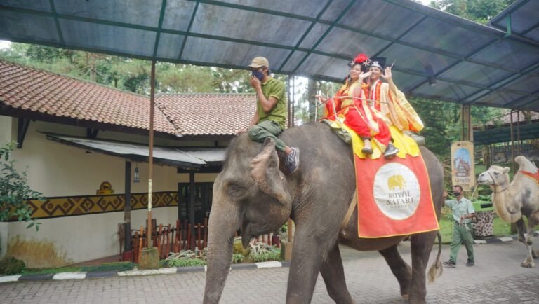Royal Safari Garden Hadirkan Beragam Atraksi Sambut Kemeriahan Tahun Baru Imlek 2024