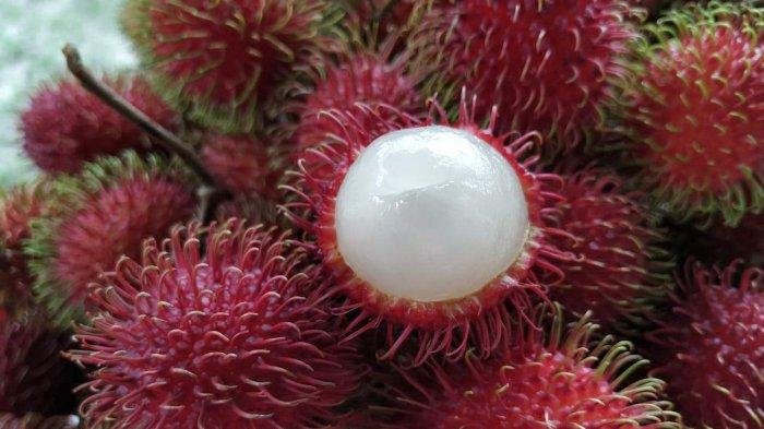 Pemkab Tangerang terima sertifikasi hak paten Rambutan Parakan dari Kemenkumham Banten