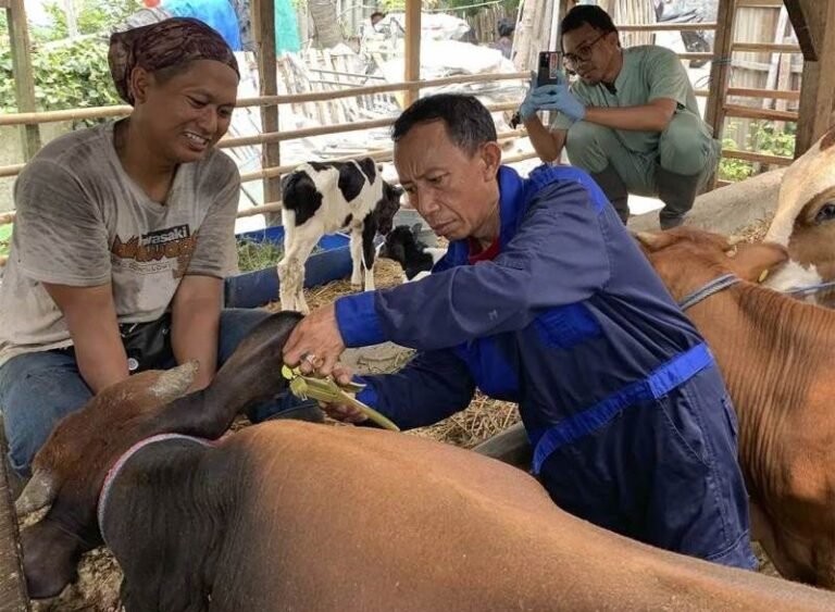 Jelang Iduladha, Pemkot Tangerang Gelar Vaksinasi PMK Gratis untuk Ternak Kurban