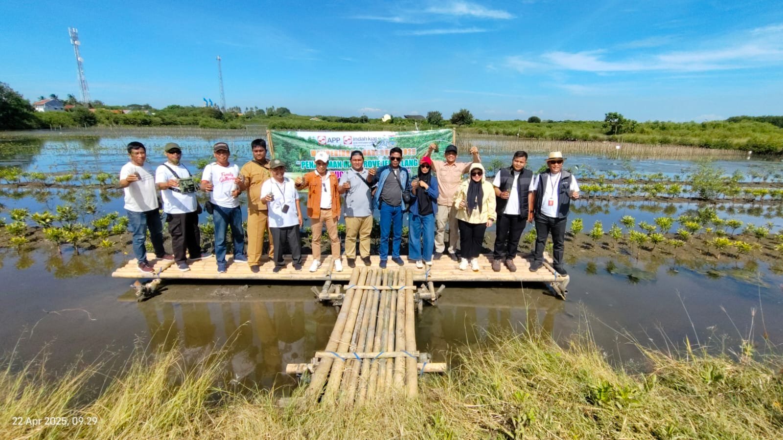 IKPP Tangerang dan Pemkab Tangerang Tanam 10.000 Mangrove Langka
