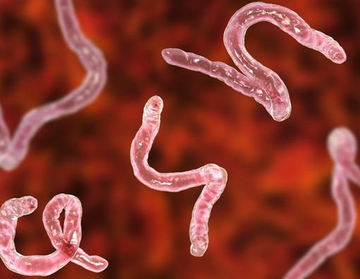 Agar Anak Terhindar dari Cacingan, Ini 6 Tips Pencegahan dari Dinkes Kota Tangerang