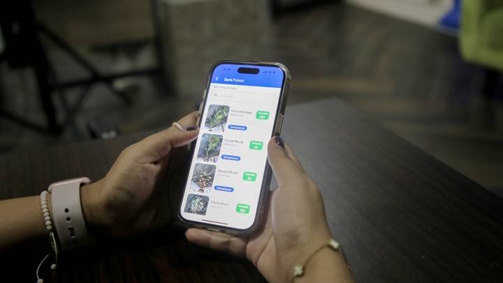 Pemkot Tangerang Luncurkan Bank Pohon, Apa Itu?