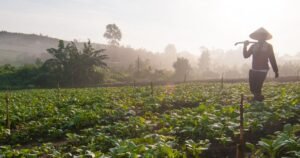 Karantina Banten Perkuat Pengawasan Demi Lindungi Tanaman Petani