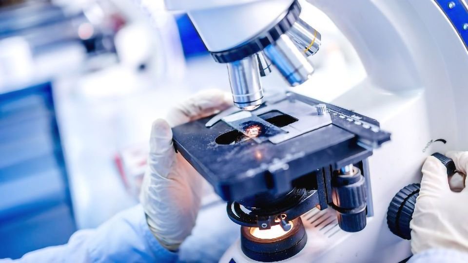 Riset Unggulan Tengah Dikembangkan di BRIN Serpong, dari Logam Tanah Jarang hingga Vaksin Unggas