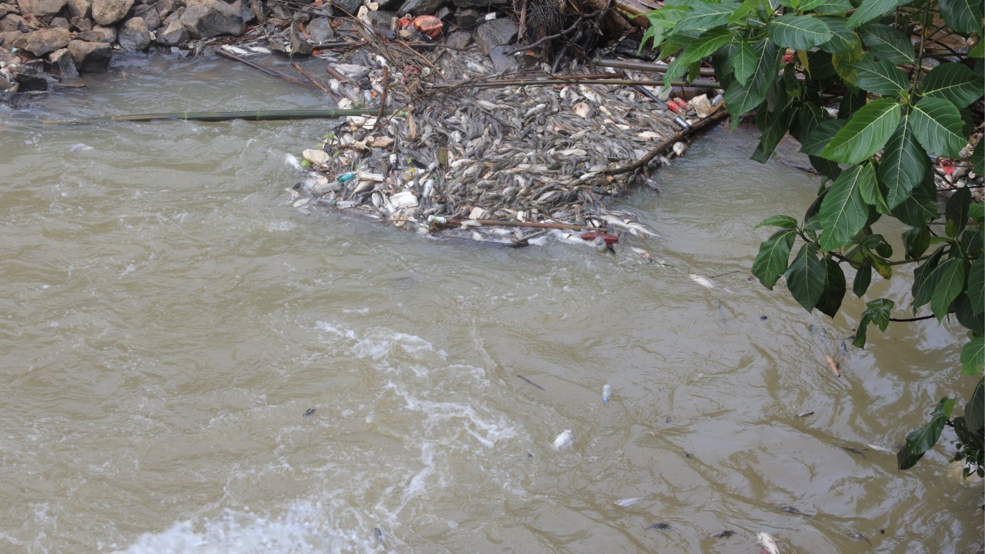 Pencemaran Kimia di Cisadane, Pemkot Tangsel Keluarkan Imbauan