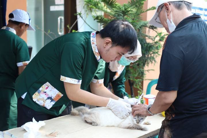 Pemkot Tangerang Buka Vaksinasi Rabies Gratis Selama Ramadan, Cek Jadwal Lengkapnya Pemkot Tangerang Buka Vaksinasi Rabies Gratis Selama Ramadan, Cek Jadwal Lengkapnya