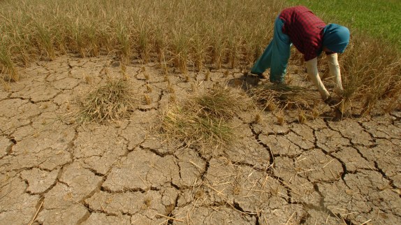 Atasi Kekeringan, Petani Lebak Andalkan Pompa Pantek Berbasis Sistem Satelit