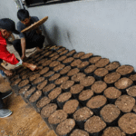 Pemkot Tangerang Bagikan Bibit Tanaman