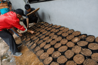 Pemkot Tangerang Bagikan Bibit Tanaman