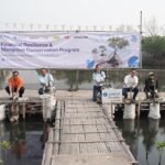 Zurich Tanam 1.000 Mangrove