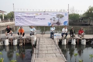 Zurich Tanam 1.000 Mangrove